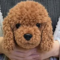 Array image